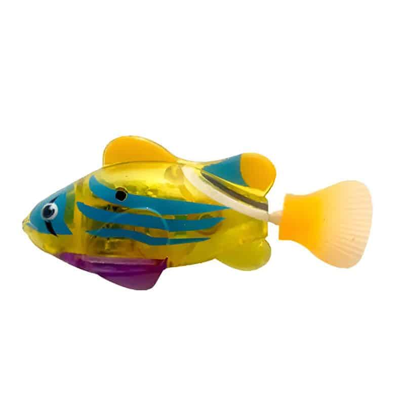 Poisson avec lumière utile pour offrir des activités amusantes à son chat