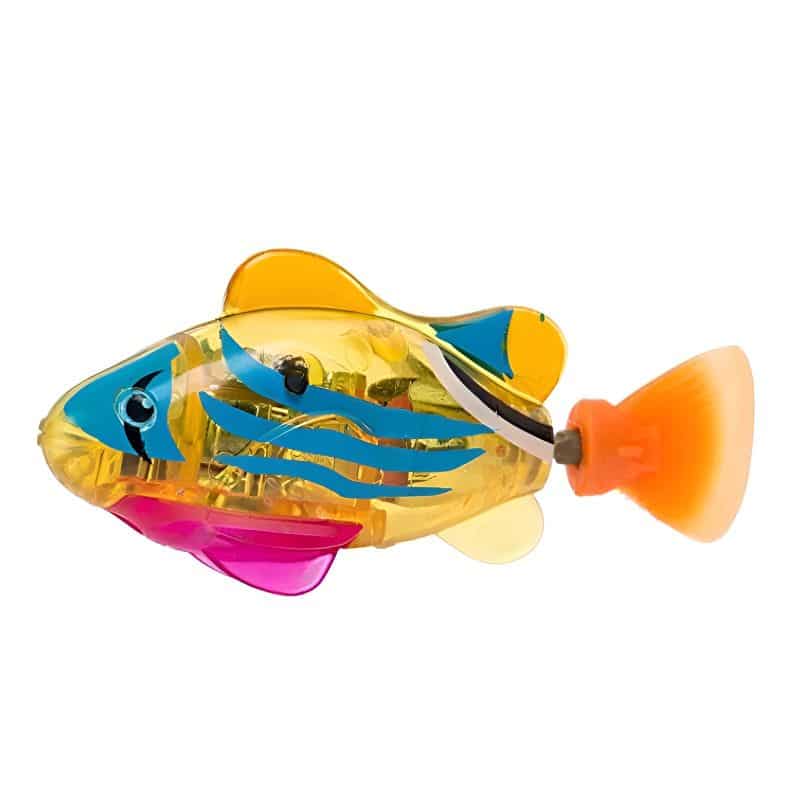 Poisson avec lumière de bonne qualité pour amuser son chat