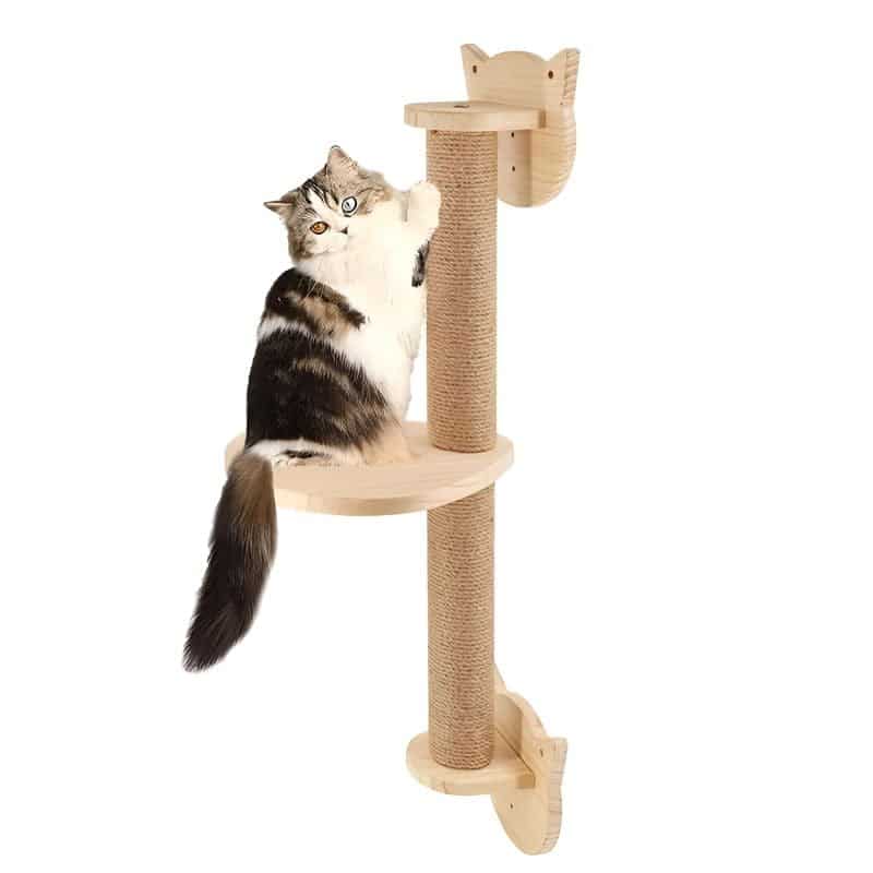 poteau arbre àchat avec un chat dessus