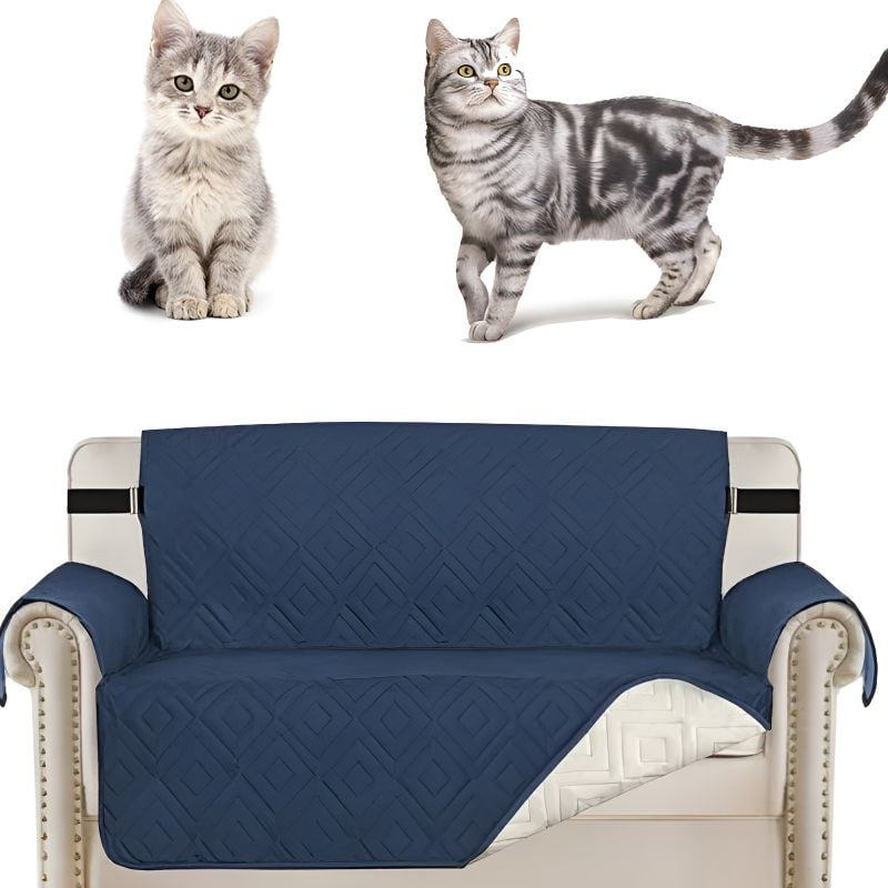 protection canapé chat (housse de canapé) avec un joli design