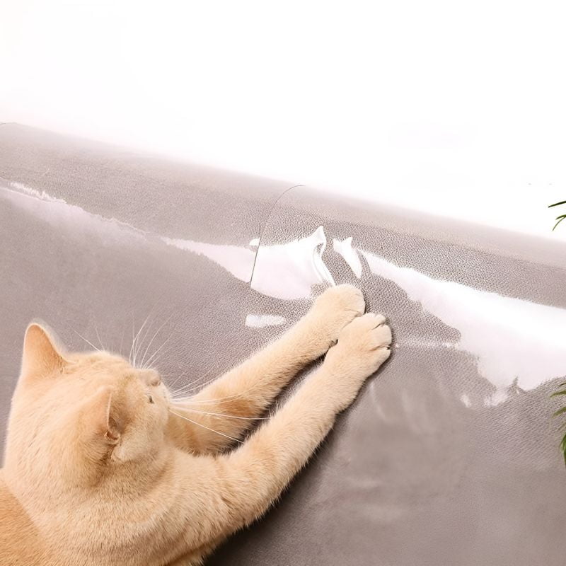 ruban pour protéger canapé chat