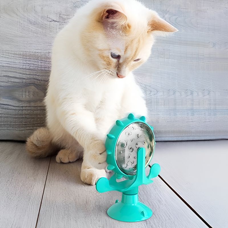 roue pour chat pas cher pratique 1