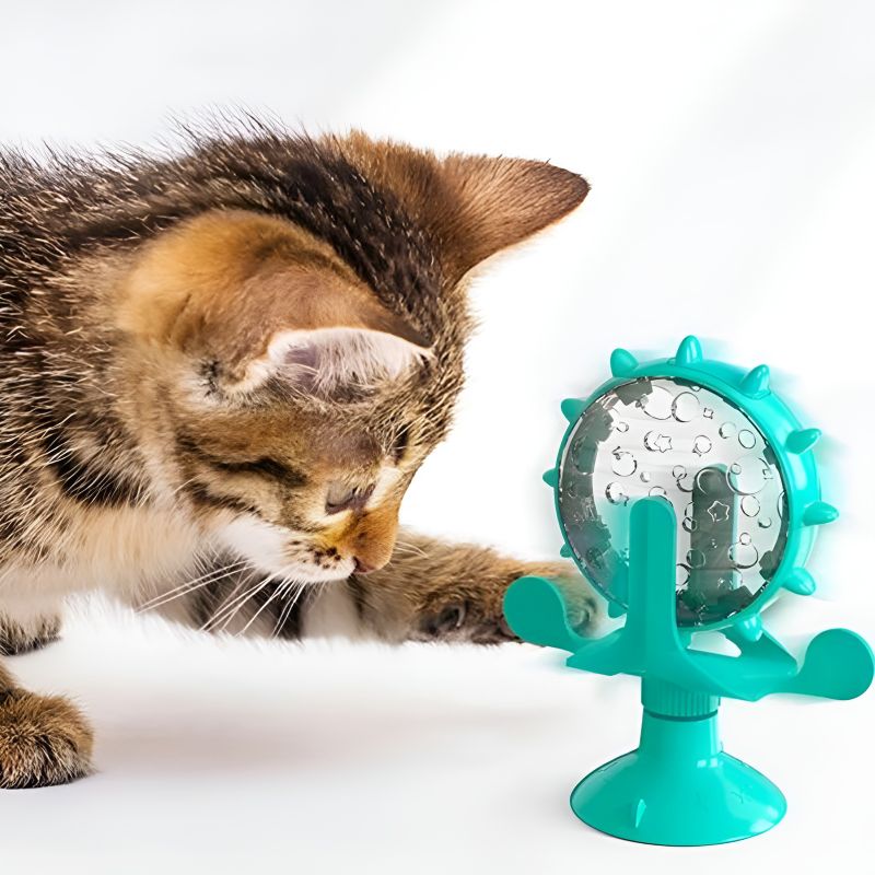 roue pour chat pas cher qualite 1