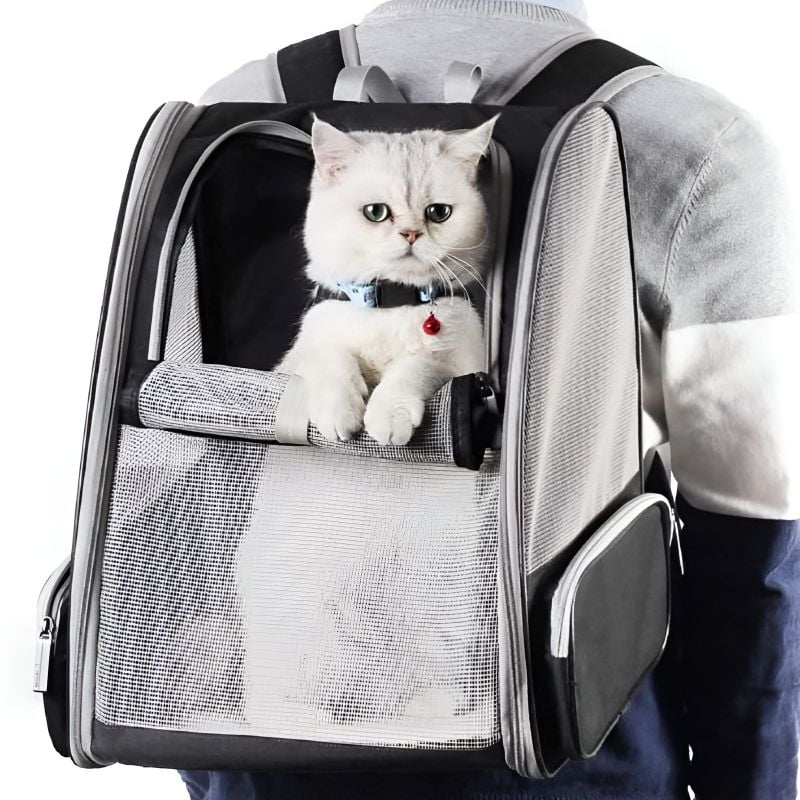 sac à dos pour chat adulte avec un chat à l'intérieur