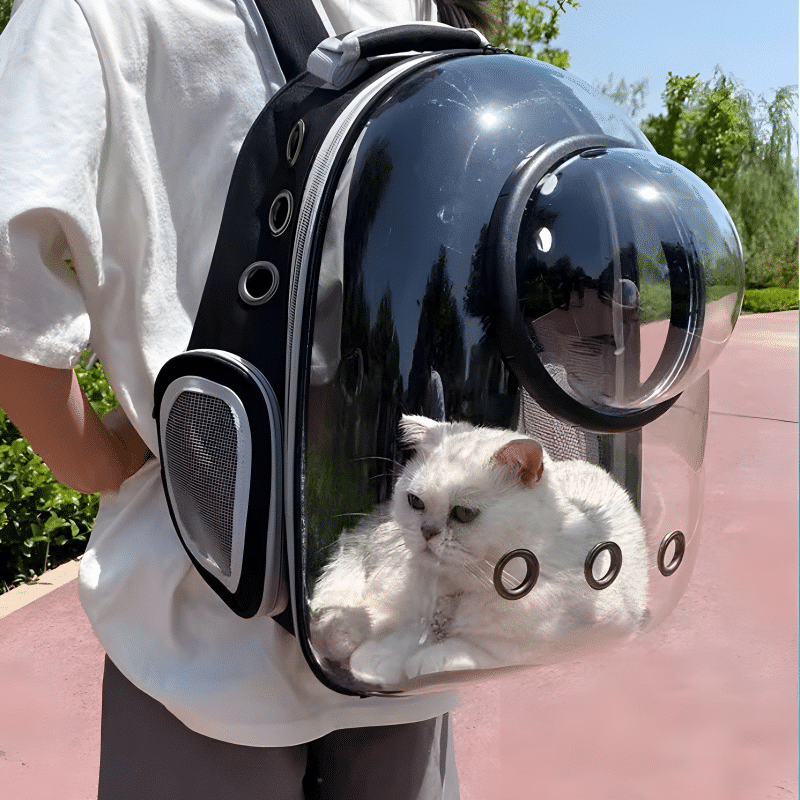 sac bulle chat avec un chat confortablement installé à l'intérieur