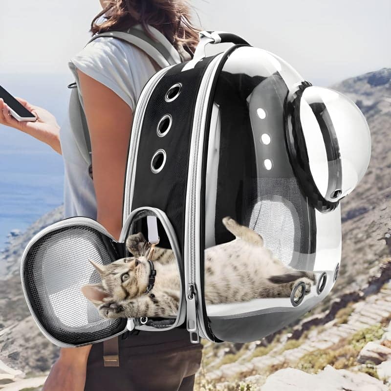 sac bulle chat pratique pour transporter son chat lors des promenades