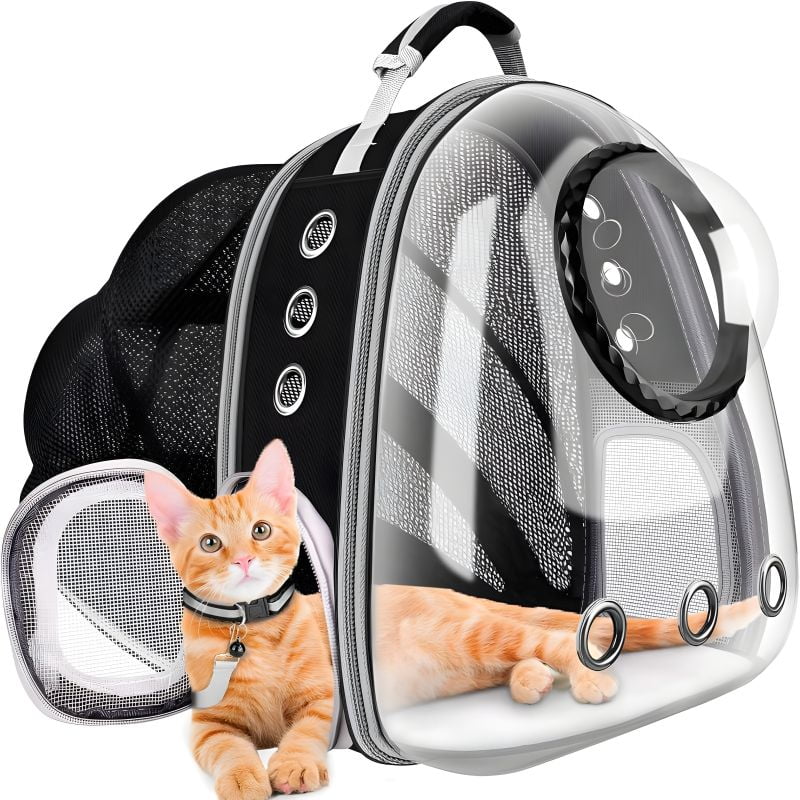 sac bulle chat avec un chat à l'intérieur