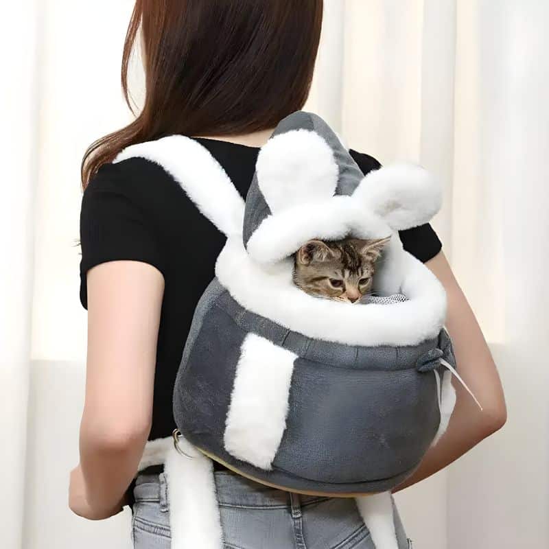 sac de transport chaton design et confortable