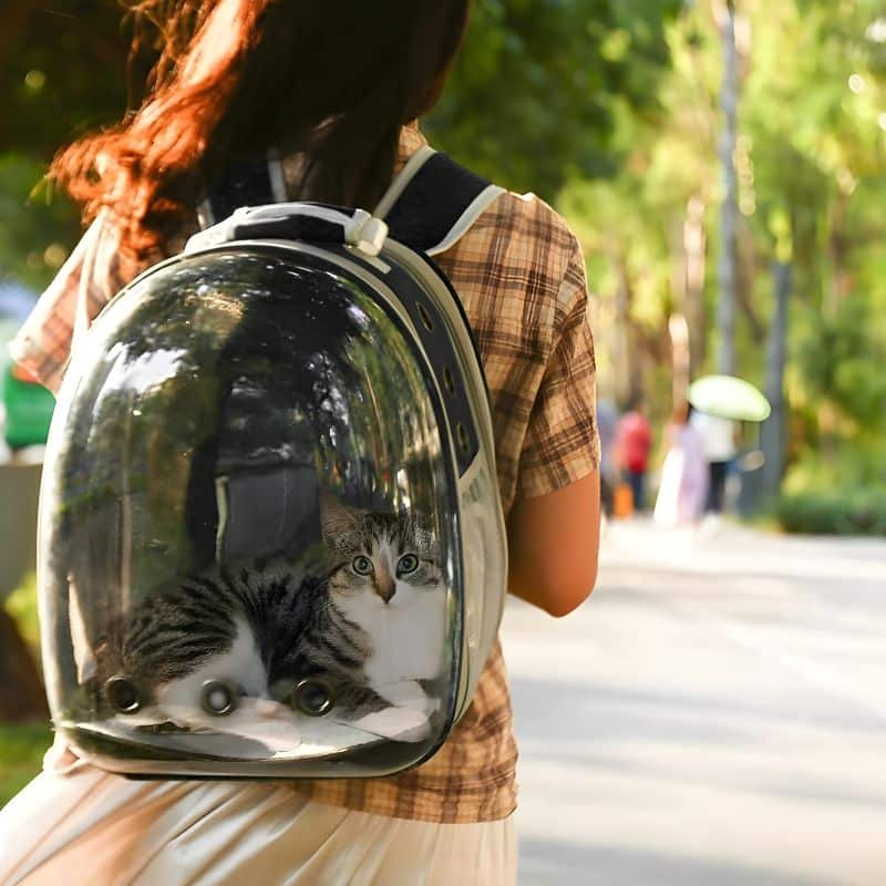 sac hublot chat avec un chat confortablement installé à l'intérieur