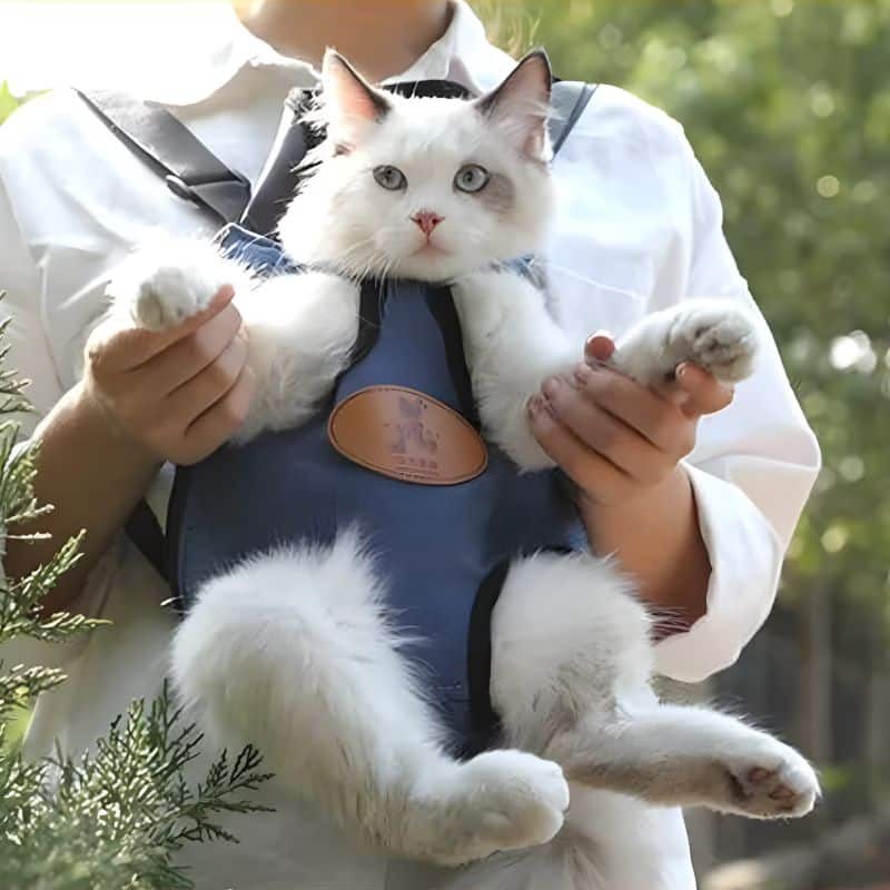sac kangourou pour chat pratique et durable
