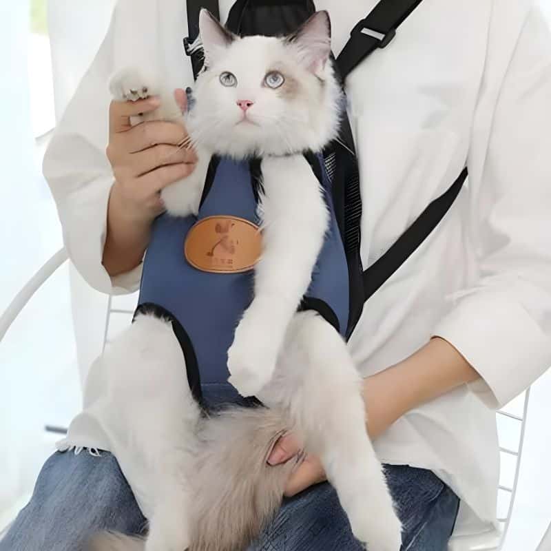 sac kangourou pour chat avec un chat confortablement installé à l'intérieur