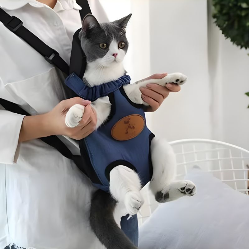 sac kangourou pour chat idéal pour transporter son chat lors des sorties