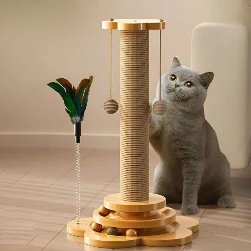 tour griffoir pour chat avec chat qui gratte