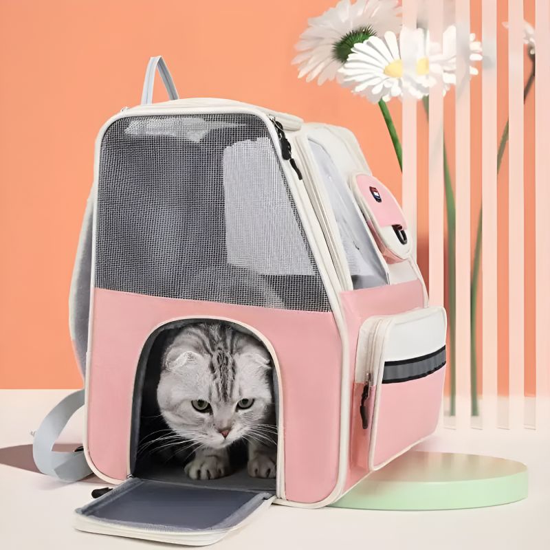 valise transport chat avec un chat confortablement installé à l'intérieur
