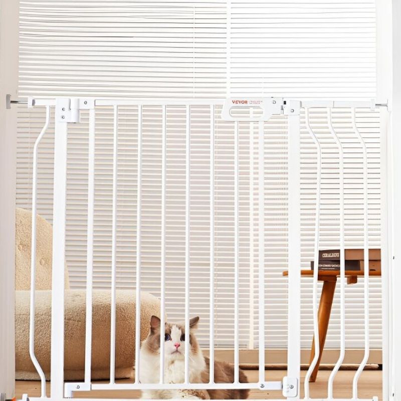 barriere chat avec chat derrière