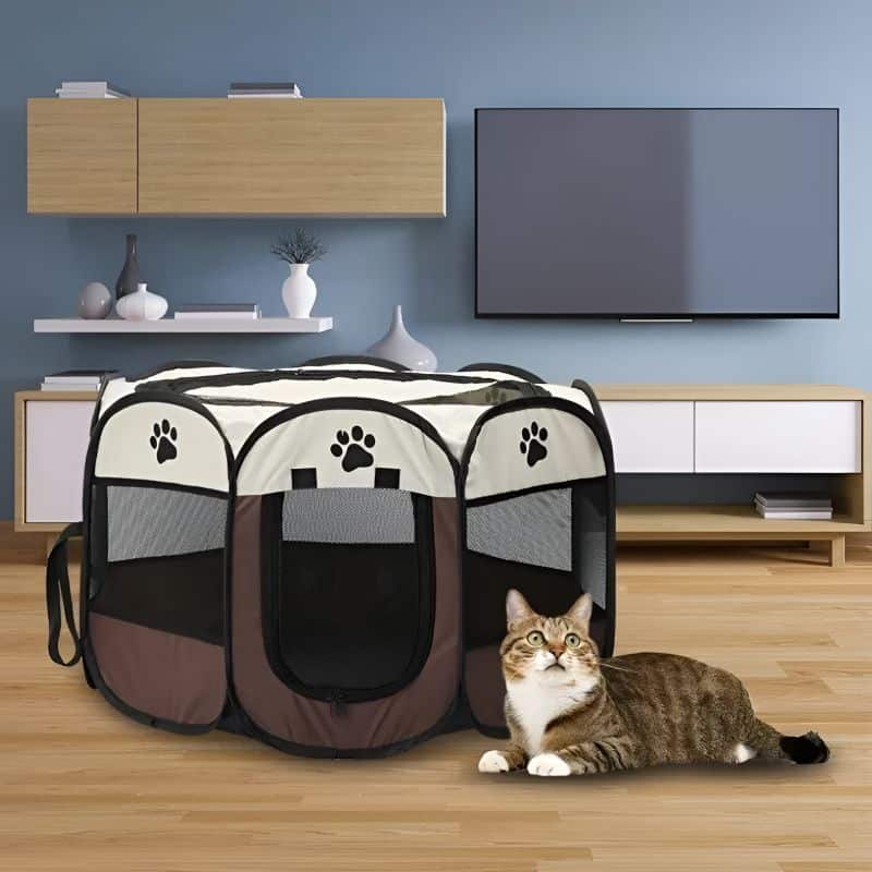 cage pour chat avec chat couché à côté