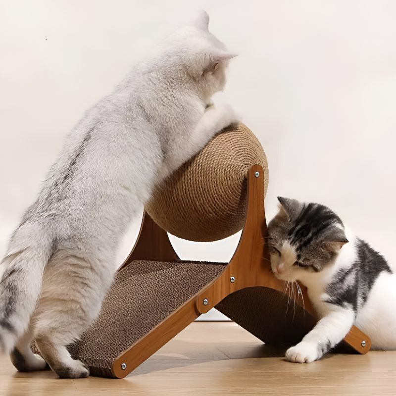griffoir chat bois avec des chats qui s'amusent
