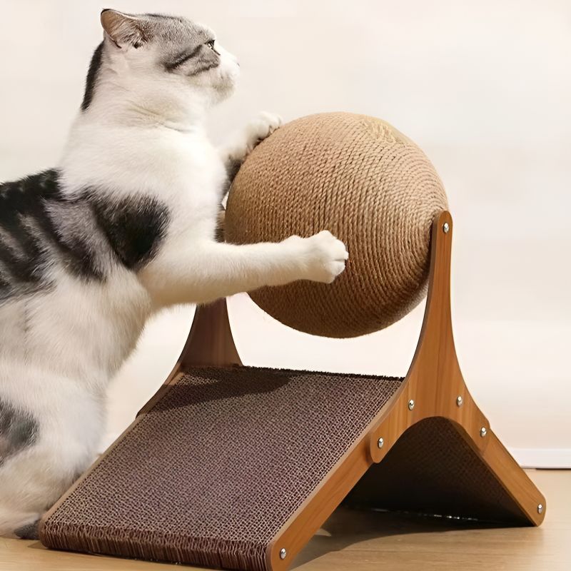 griffoir chat bois amusant pour le chat