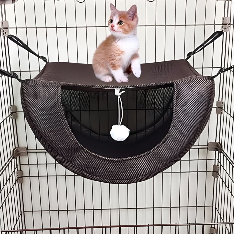 hamac chat pas cher avec un chaton au-dessus