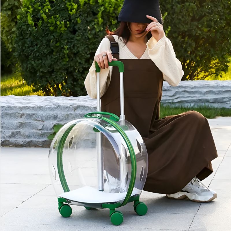 valise pour chat transparent pratique pour des promenades avec son chat