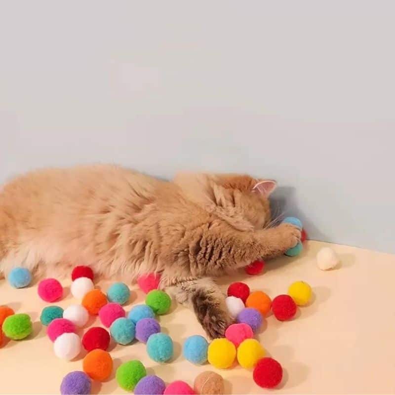 Lanceur de balle pour chat avec chat qui s'amuse