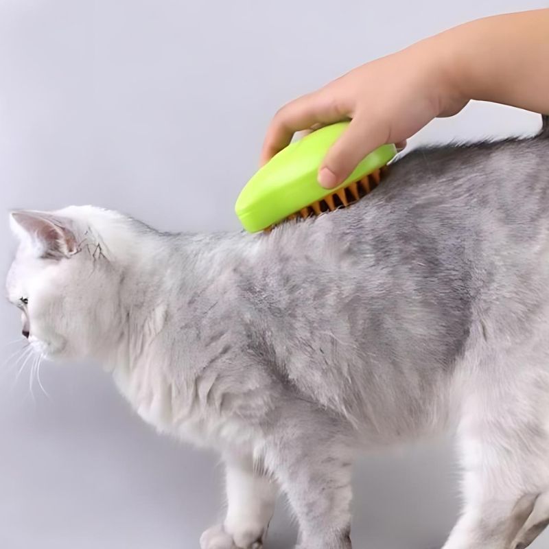 Brosse de toilettage pour chat utilisé brosser un chat