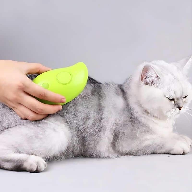 Brosse de toilettage pour chat idéal pour entretenir son chat