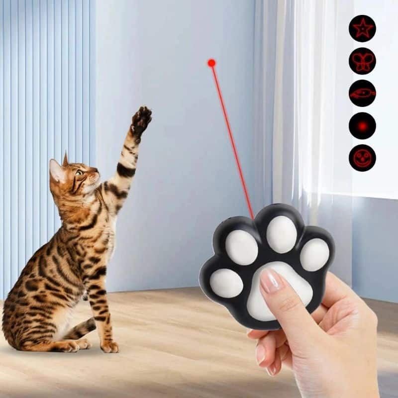 Mini laser pour chat avec chat qui s'amuse