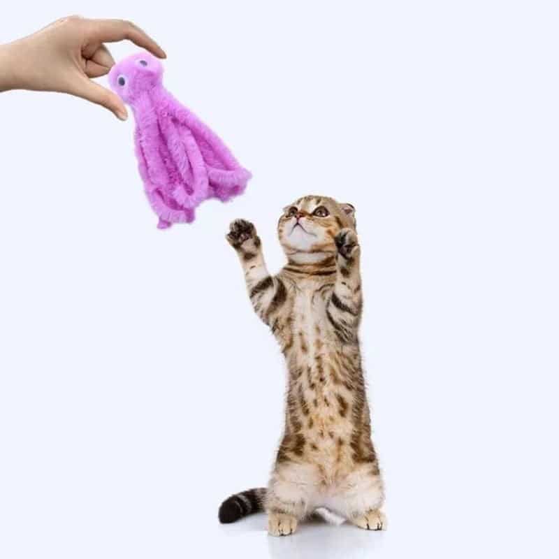 Peluche pieuvre pour chat avec chat qui s'amuse