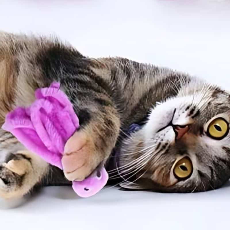 Peluche pieuvre pour chat idéal pour le divertissement de votre matou