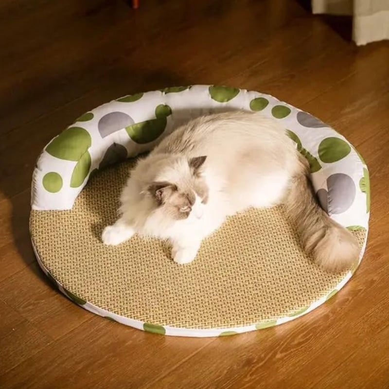 Coussin rafraichissant pour chat idéal pour loger le chat en été
