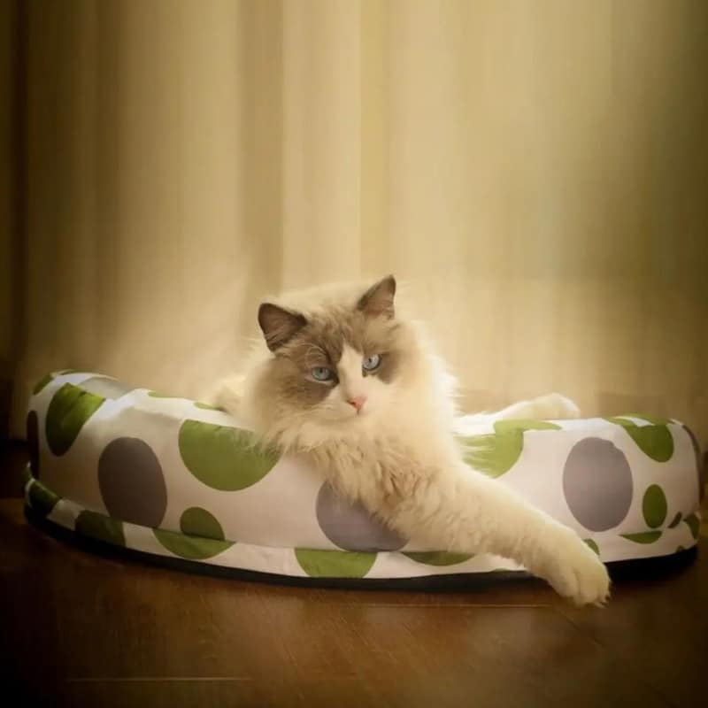 Coussin rafraichissant pour chat bien confortable