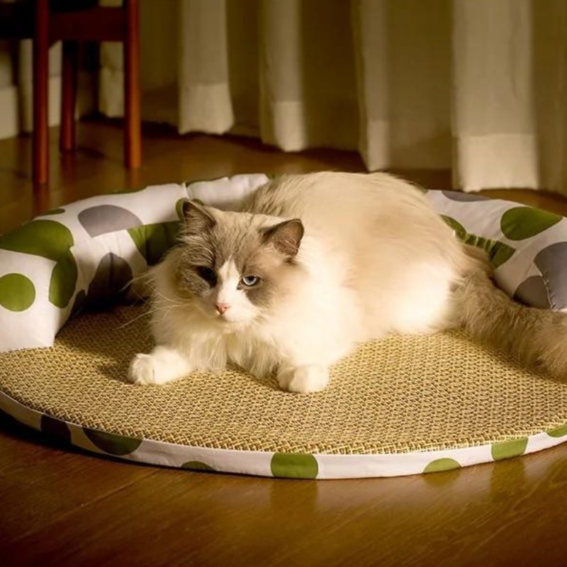 Coussin rafraichissant pour chat solide et résistant