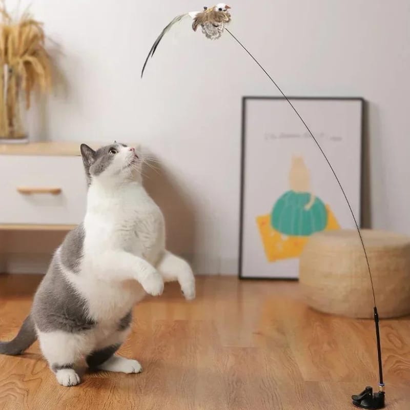 Jouet pour chat en forme d'oiseau pratique pour jouer avec son chat