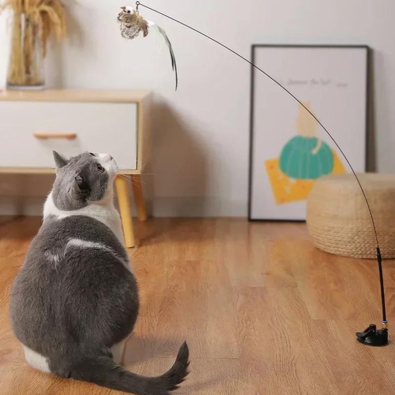 Jouet pour chat en forme d'oiseau solide et résistant