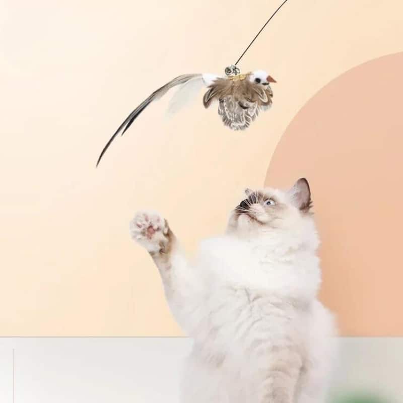 Jouet pour chat en forme d'oiseau avec chat qui s'amuse