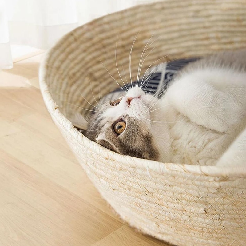 Panier rond en rotin pratique et pas cher