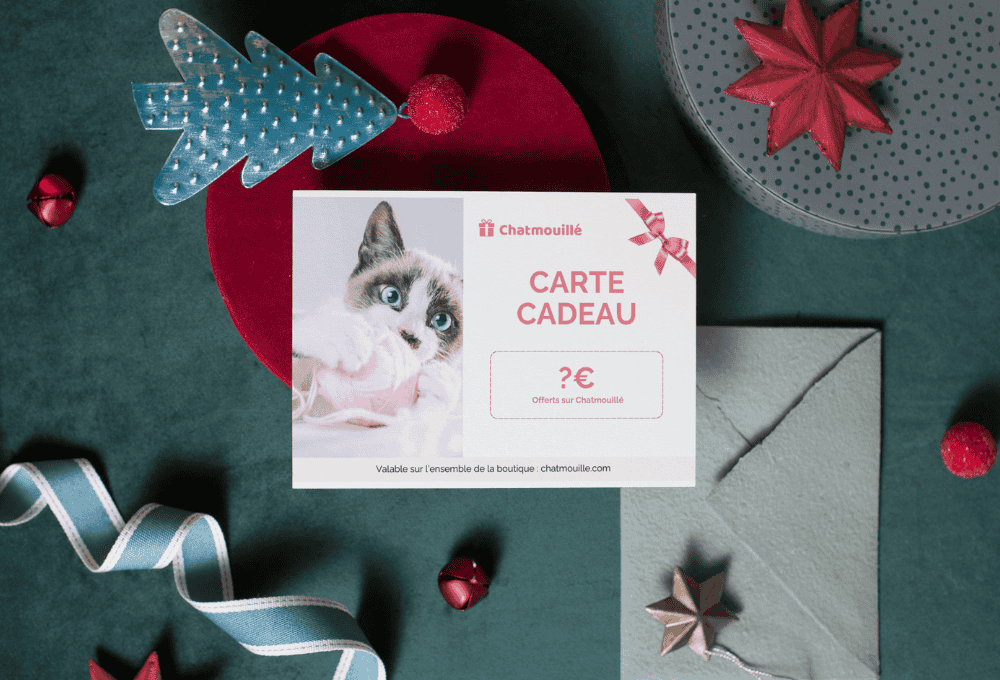 Carte cadeau Chatmouillé