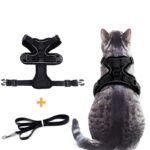 Harnais pour chat adulte