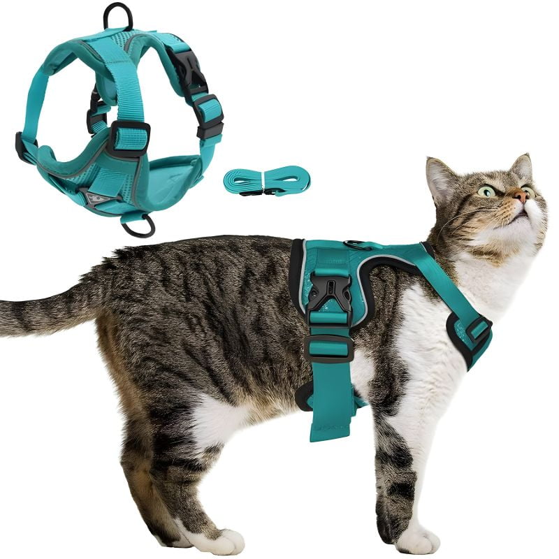 Harnais pour chat anti fugue