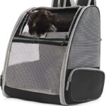 Sac à dos pour chat adulte