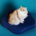Coussin de luxe chat – HARMONY