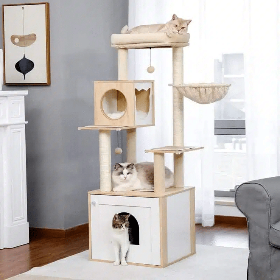 Arbre à chat à action