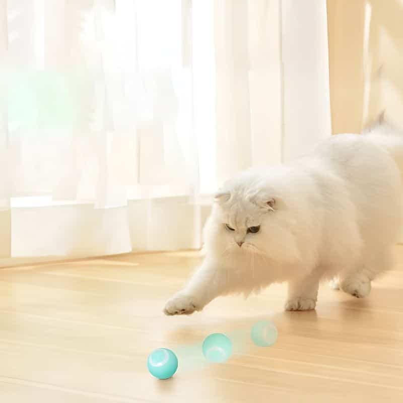 balle pour chat qui roule toute seule