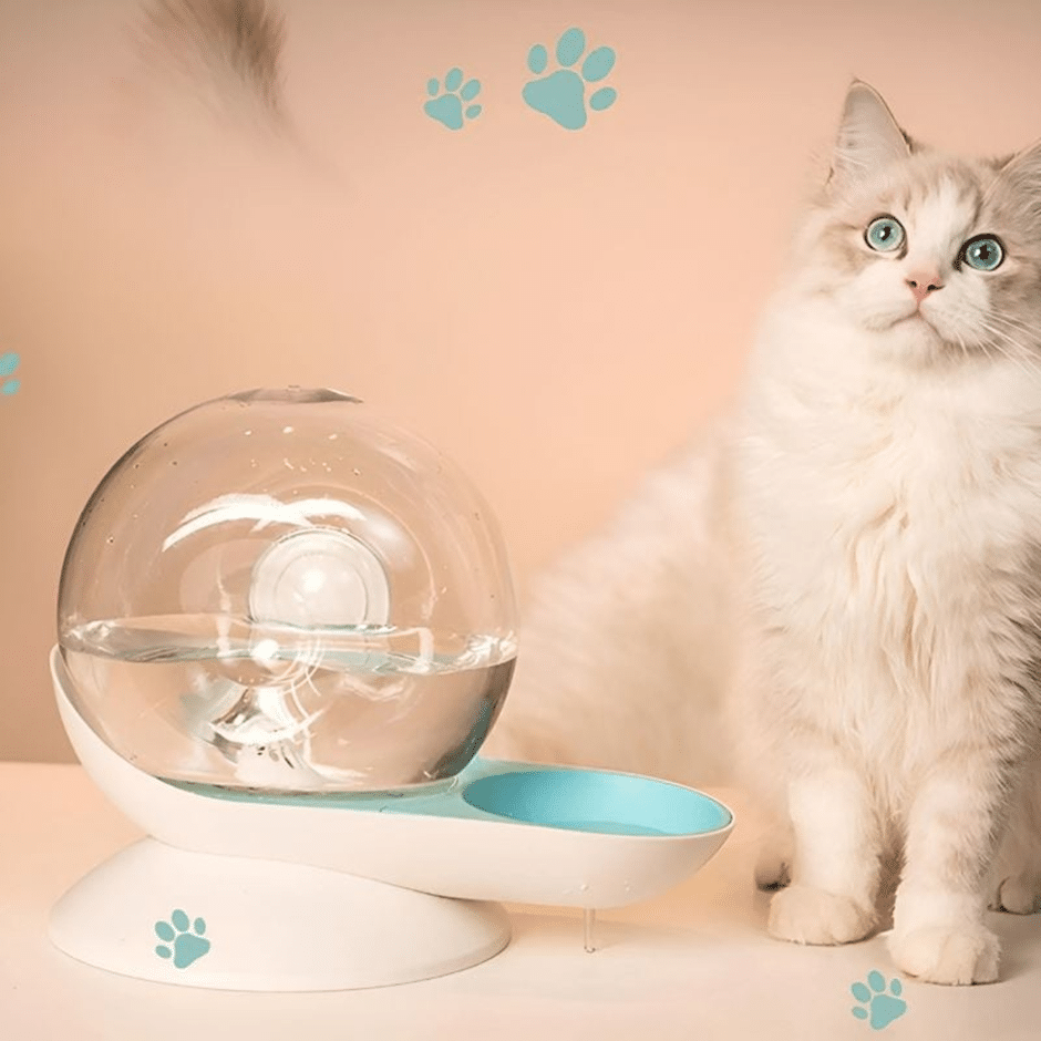 fontaine à eau pour chat sans électricité