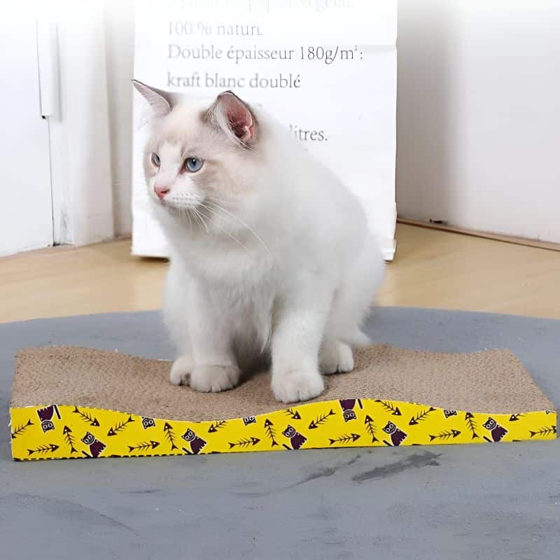 griffoir pour chat en carton