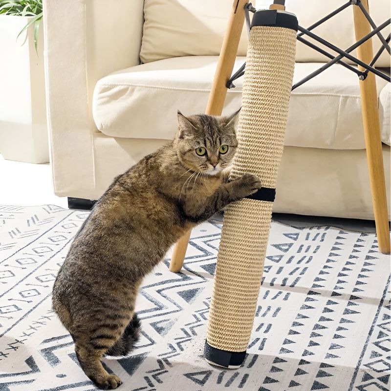 griffoir pour chat pour pied de table