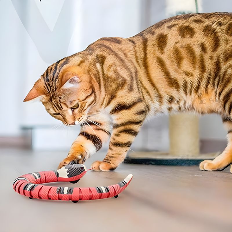 jouet pour chat serpent interactif