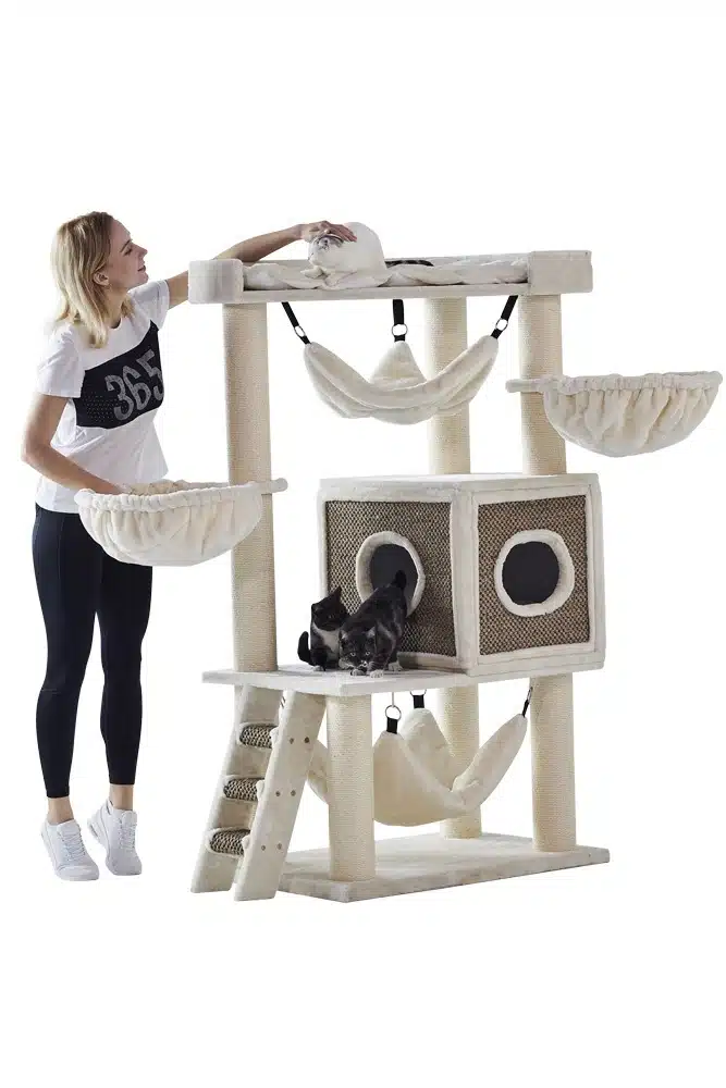 Arbre à chat Ragdoll Juan