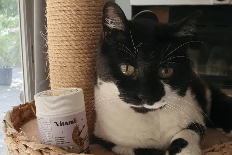 Présentation de Vitamii Friandises Naturelles Articulation Chat